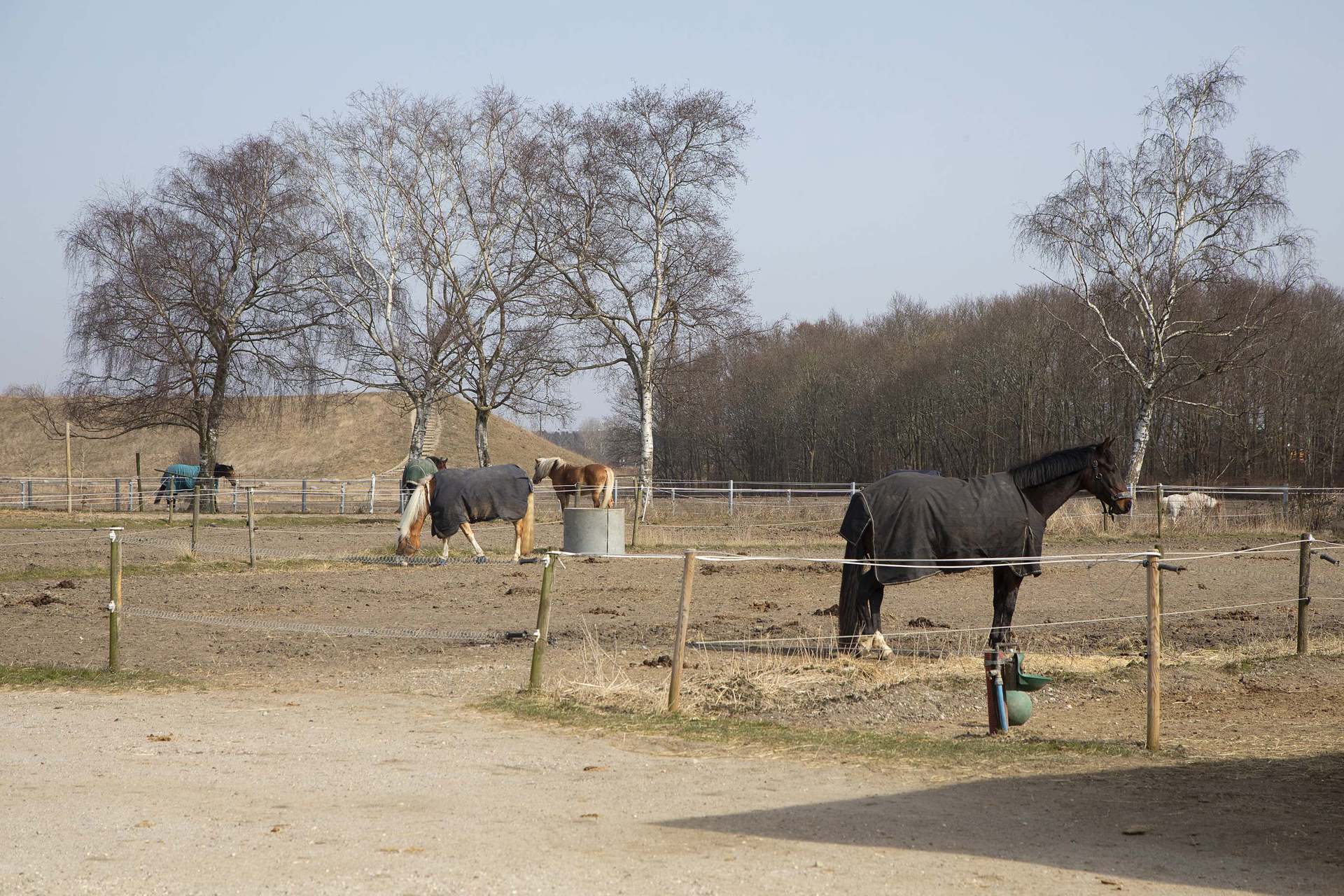  - Winthersmindevej 67