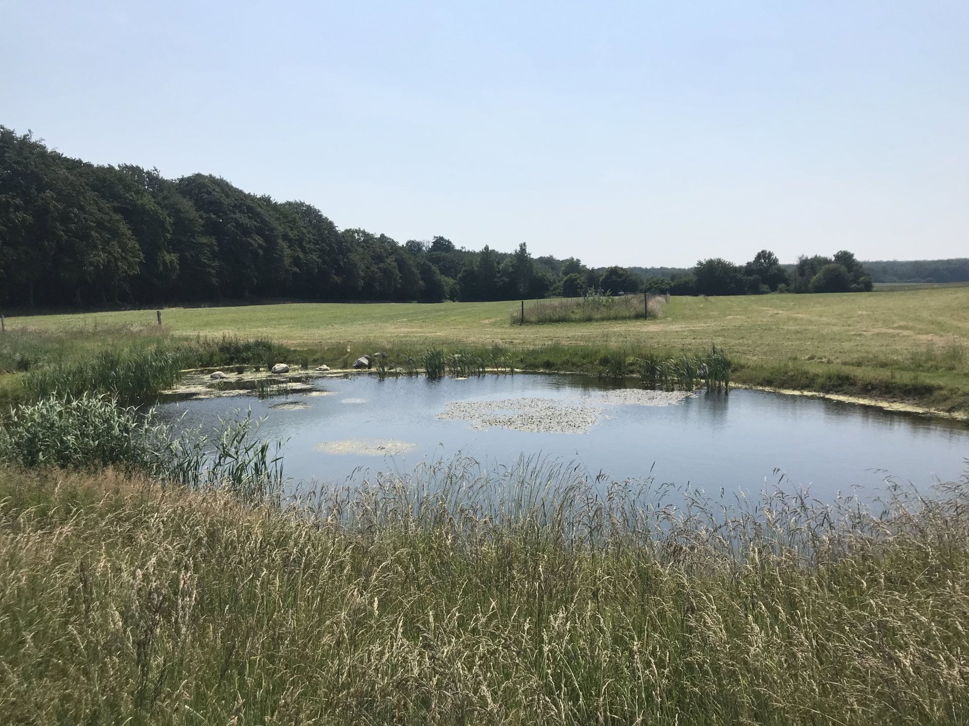  - Tvedsagervej 7, Harløse