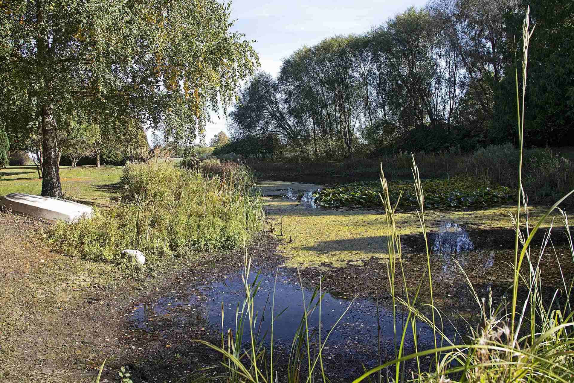  - Ørebjergvej 8, Tornemark